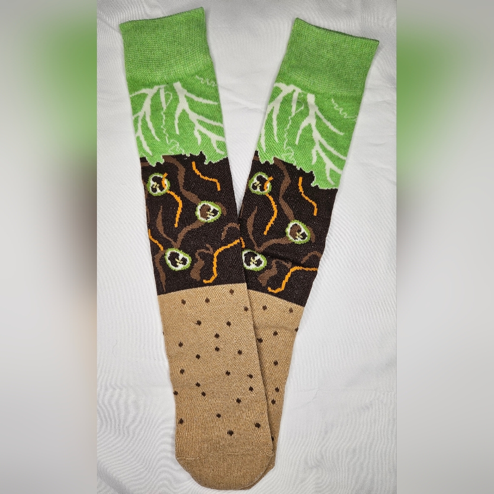 5/$20 Taco Casual Socks NEW